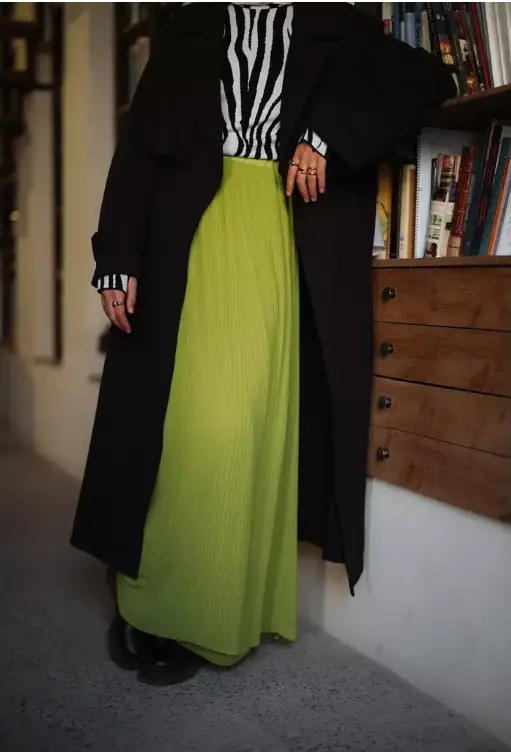 Pleated Skirt