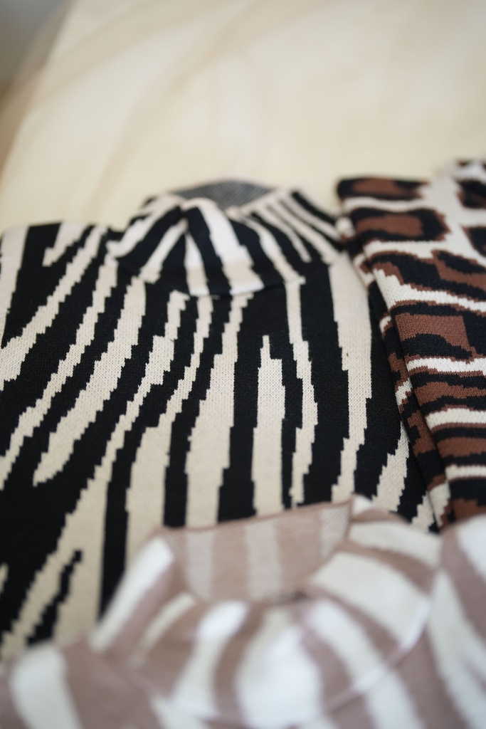 Basic Zebra