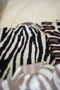 Basic Zebra