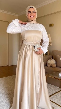 Two Colors Satin Dress