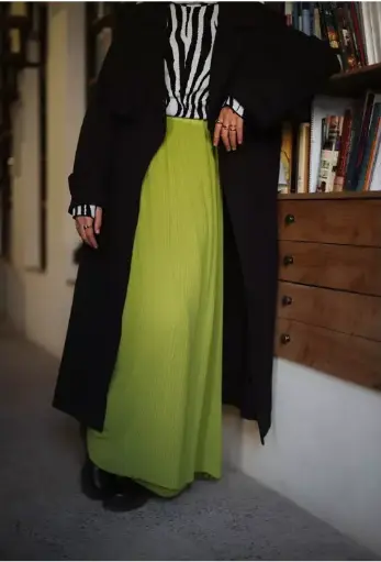 Pleated Skirt