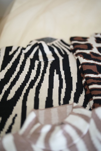 Basic Zebra
